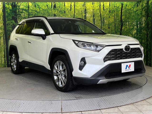 ＲＡＶ４ Ｇ　Ｚパッケージ　禁煙車　４ＷＤ　純正９型ナビ　セーフティセンス　レーダークルーズ　デジタルインナーミラー　ダイナミックトルクベクタリング　ダイヤル式マルチテレインセレクト　ダウンヒルアシスト　パワーバックドア　ＥＴＣ（17枚目）