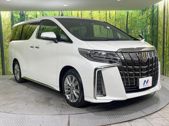 アルファード ２．５Ｓ　タイプゴールド　禁煙車　純正９型ナビ付ＤＡ　後席モニター　ＢＳＭ　ＲＣＴＡ　両側電動スライドドア　デジタルインナーミラー　ＥＴＣ　ドラレコ　ハーフレザーシート　パワーバックドア　ＬＥＤヘッド／フロントフォグランプ（17枚目）