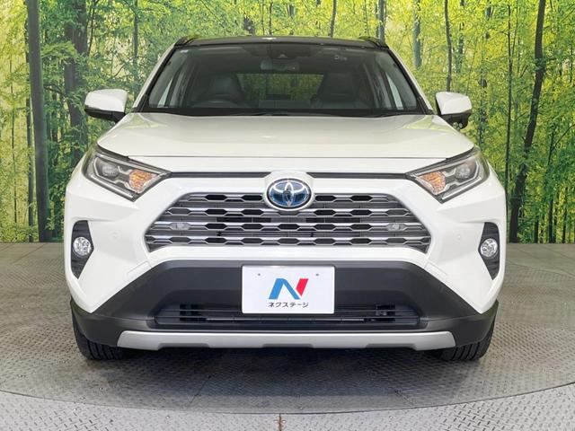 ＲＡＶ４ ハイブリッドＧ　サンルーフ　９型ナビ　バックカメラ　禁煙車　セーフティセンス　レーダークルーズ　電動リアゲート　運転席パワーシート　前席シートヒーター　ドラレコ　コーナーセンサー　ＬＥＤヘッドライト　ＥＴＣ（14枚目）