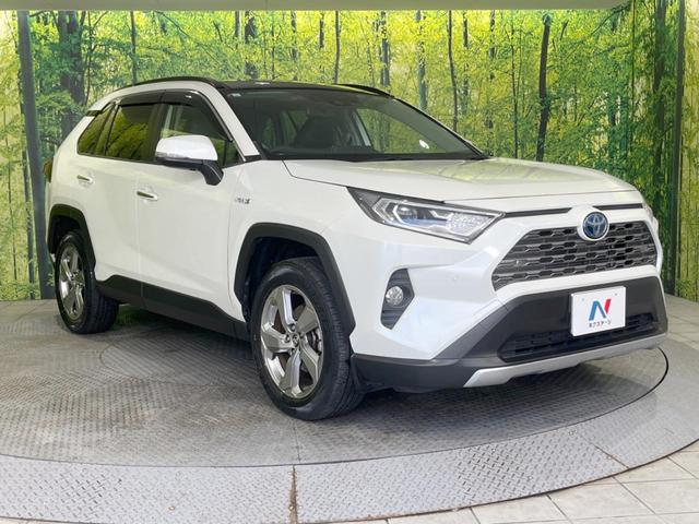 ＲＡＶ４ ハイブリッドＧ　サンルーフ　９型ナビ　バックカメラ　禁煙車　セーフティセンス　レーダークルーズ　電動リアゲート　運転席パワーシート　前席シートヒーター　ドラレコ　コーナーセンサー　ＬＥＤヘッドライト　ＥＴＣ（16枚目）