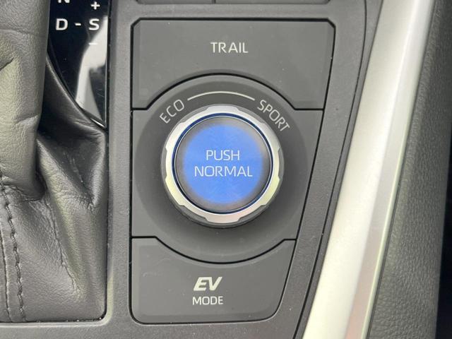ＲＡＶ４ ハイブリッドＧ　サンルーフ　９型ナビ　バックカメラ　禁煙車　セーフティセンス　レーダークルーズ　電動リアゲート　運転席パワーシート　前席シートヒーター　ドラレコ　コーナーセンサー　ＬＥＤヘッドライト　ＥＴＣ（33枚目）