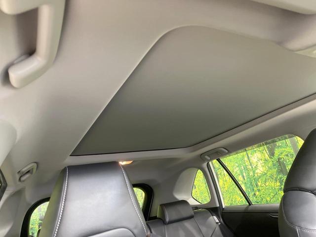 ＲＡＶ４ ハイブリッドＧ　サンルーフ　９型ナビ　バックカメラ　禁煙車　セーフティセンス　レーダークルーズ　電動リアゲート　運転席パワーシート　前席シートヒーター　ドラレコ　コーナーセンサー　ＬＥＤヘッドライト　ＥＴＣ（53枚目）
