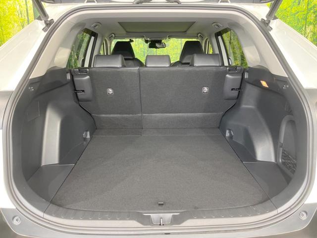 ＲＡＶ４ ハイブリッドＧ　サンルーフ　９型ナビ　バックカメラ　禁煙車　セーフティセンス　レーダークルーズ　電動リアゲート　運転席パワーシート　前席シートヒーター　ドラレコ　コーナーセンサー　ＬＥＤヘッドライト　ＥＴＣ（56枚目）