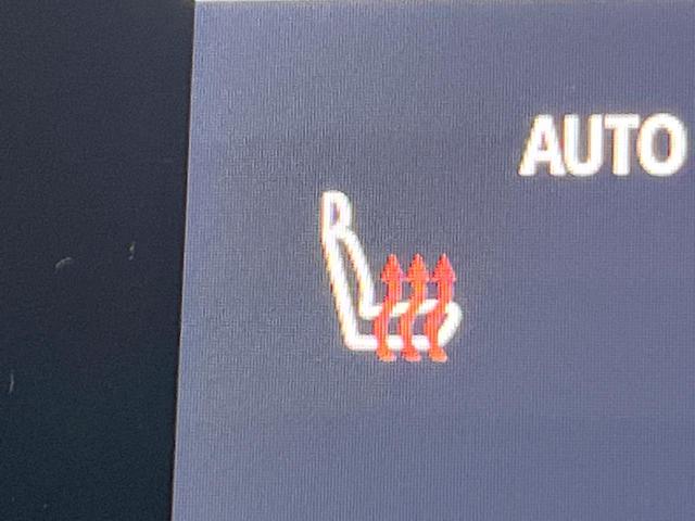 アルファード Ｚ　ムーンルーフ　後席モニター　１４型ナビ付ＤＡ　全周囲カメラ　ユニバーサルステップ　デジタルインナーミラー　前席中列シートベンチレーション　両側電動スライドドア　セーフティセンス　電動オットマン　禁煙車（53枚目）