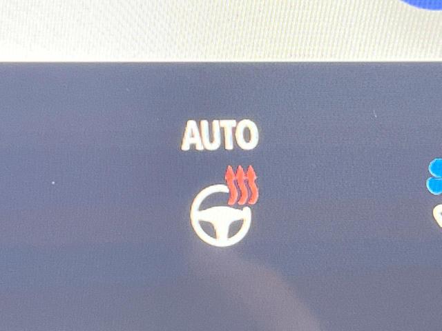 アルファード Ｚ　ムーンルーフ　後席モニター　１４型ナビ付ＤＡ　全周囲カメラ　ユニバーサルステップ　デジタルインナーミラー　前席中列シートベンチレーション　両側電動スライドドア　セーフティセンス　電動オットマン　禁煙車（56枚目）