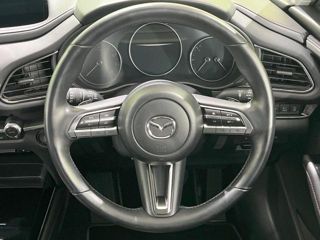 CX-30 20S ブラックトーンエディション 8.8型マツダコネクトナビ 全周囲カメラ BOSEサウンド 禁煙車 スマートブレーキサポート レーダークルーズ BSM 電動リアゲート ドラレコ コーナーセンサー LEDヘッド オートハイビーム(11枚目)