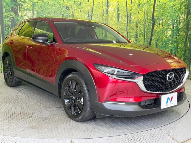 CX-30 20S ブラックトーンエディション 8.8型マツダコネクトナビ 全周囲カメラ BOSEサウンド 禁煙車 スマートブレーキサポート レーダークルーズ BSM 電動リアゲート ドラレコ コーナーセンサー LEDヘッド オートハイビーム(16枚目)