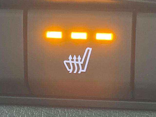 CX-30 20S ブラックトーンエディション 8.8型マツダコネクトナビ 全周囲カメラ BOSEサウンド 禁煙車 スマートブレーキサポート レーダークルーズ BSM 電動リアゲート ドラレコ コーナーセンサー LEDヘッド オートハイビーム(29枚目)