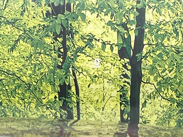 CX-30 20S ブラックトーンエディション 8.8型マツダコネクトナビ 全周囲カメラ BOSEサウンド 禁煙車 スマートブレーキサポート レーダークルーズ BSM 電動リアゲート ドラレコ コーナーセンサー LEDヘッド オートハイビーム(32枚目)