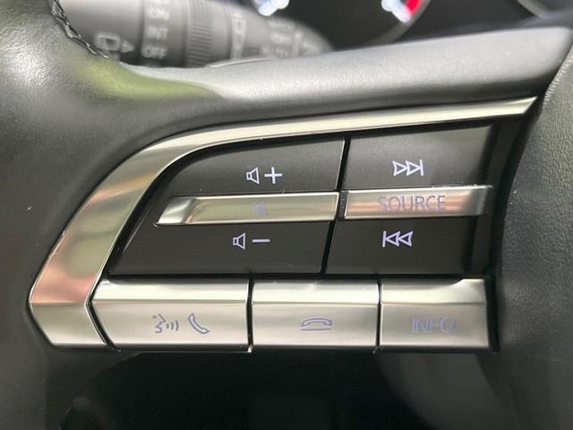 CX-30 20S ブラックトーンエディション 8.8型マツダコネクトナビ 全周囲カメラ BOSEサウンド 禁煙車 スマートブレーキサポート レーダークルーズ BSM 電動リアゲート ドラレコ コーナーセンサー LEDヘッド オートハイビーム(42枚目)