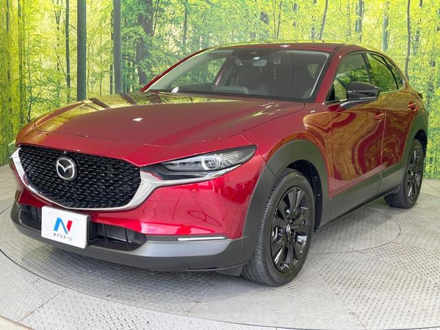 CX-30 20S ブラックトーンエディション 8.8型マツダコネクトナビ 全周囲カメラ BOSEサウンド 禁煙車 スマートブレーキサポート レーダークルーズ BSM 電動リアゲート ドラレコ コーナーセンサー LEDヘッド オートハイビーム(60枚目)