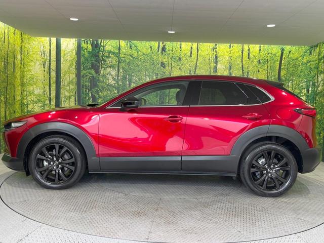 CX-30 20S ブラックトーンエディション 8.8型マツダコネクトナビ 全周囲カメラ BOSEサウンド 禁煙車 スマートブレーキサポート レーダークルーズ BSM 電動リアゲート ドラレコ コーナーセンサー LEDヘッド オートハイビーム(62枚目)