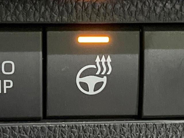 ＲＡＶ４ ハイブリッドＧ　モデリスタエアロ　純正１０．５型ナビ付ＤＡ　デジタルインナーミラー　禁煙車　全周囲カメラ　セーフティセンス　レーダークルーズ　ＥＴＣ２．０　ドラレコ　フルセグ　シートベンチレーション　ＬＥＤヘッド（26枚目）