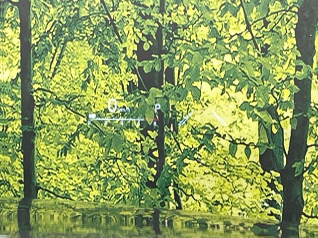 ハリアー Ｚ　レザーパッケージ　メーカー１２．３型ナビ　全周囲カメラ　ＪＢＬサウンド　セーフティセンス　ＢＳＭ　禁煙車　電動リアゲート　レザーシート　シートベンチレーション　デジタルインナーミラー　コーナーセンサー　ＬＥＤヘッド（54枚目）