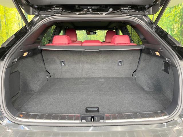 ＲＸ ＲＸ２００ｔ　Ｆスポーツ　パノラマルーフ　禁煙車　純正１２．３型ナビ　全周囲カメラ　ターボ　セーフティシステム　クリアランスソナー　ブラインドスポット　レーダークルーズ　革シート　プレミアムサウンド　ルーフレール　ＥＴＣ２．０（30枚目）