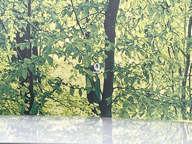 ＣＸ－６０ ＸＤ　エクスクルーシブモード　サンルーフ　１２．３型マツダコネクト　全周囲カメラ　禁煙車　ＢＯＳＥサウンド　革シート　１００Ｖ電源　衝突軽減システム　レーダークルーズ　ＥＴＣ　前後ドラレコ　シートベンチレーション　電動リアゲート（49枚目）