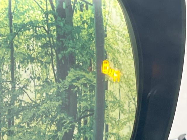 ランドクルーザープラド TX Lパッケージ マットブラックエディション 禁煙車 7人乗 9型ディスプレイオーディオ マルチテレインモニター ムーンルーフ 黒革シート ドライブレコーダー LEDヘッドランプ シートベンチレーション レーダークルーズ ルーフレール(6枚目)