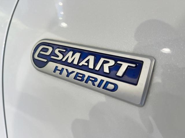 ロッキー プレミアムＧ　ＨＥＶ　純正９型ナビ　全周囲カメラ　スマートアシスト　アダプティブクルーズ　禁煙車　ハーフレザーシート　シートヒーター　ドラレコ　ＬＥＤヘッド／フォグ　シーケンシャルターンランプ　純正１７インチＡＷ（48枚目）