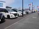 ズラッと並んだ展示車と大きな「N」の看板が目印です!