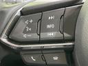 20S プロアクティブ 禁煙車 マツダコネクトナビ バックカメラ 衝突軽減システム レーダークルーズ ETC Bluetooth フルセグ LEDヘッド パワーシート シートヒーター アイドリングストップ 純正17インチAW(33枚目)