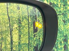 ڥ֥饤ɥݥåȥ˥桢ɥߥ顼λѤˤʤ䤹ս˸³֤᤹ܶȥɥߥ顼Υ󥺤˷ٹɽɥ饤Сմ򤷤Ƥޤ 7