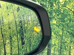 ڥ֥饤ɥݥåȥ˥桢ɥߥ顼λѤˤʤ䤹ս˸³֤᤹ܶȥɥߥ顼Υ󥺤˷ٹɽɥ饤Сմ򤷤Ƥޤ 7