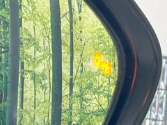 ڥ֥饤ɥݥåȥ˥桢ɥߥ顼λѤˤʤ䤹ս˸³֤᤹ܶȥɥߥ顼Υ󥺤˷ٹɽɥ饤Сմ򤷤Ƥޤ 5