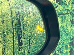 ڥ֥饤ɥݥåȥ˥桢ɥߥ顼λѤˤʤ䤹ս˸³֤᤹ܶȥɥߥ顼Υ󥺤˷ٹɽɥ饤Сմ򤷤Ƥޤ 5