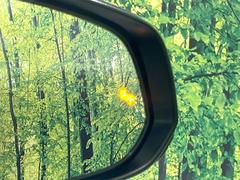 ڥ֥饤ɥݥåȥ˥桢ɥߥ顼λѤˤʤ䤹ս˸³֤᤹ܶȥɥߥ顼Υ󥺤˷ٹɽɥ饤Сմ򤷤Ƥޤ 6