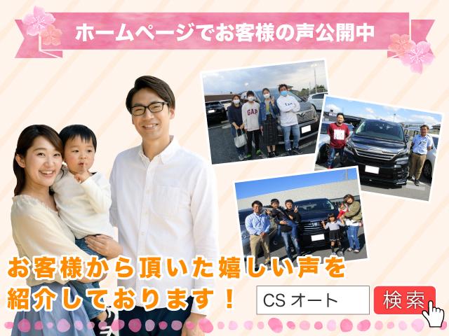 エグゼクティブラウンジ 黒本革 JBLサウンド 後席モニター 両側電動ドア パノラミックビューモニターフルセグ パワーバックドア ETCDSRC レーダークルーズ(21枚目)