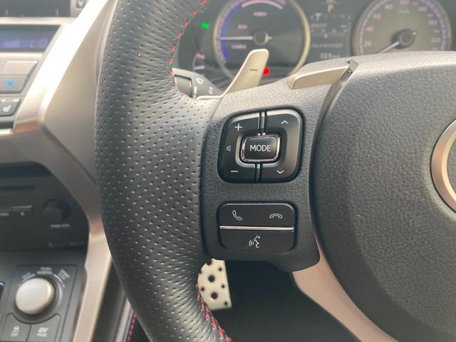 ＮＸ ＮＸ３００ｈ　Ｆスポーツ　ワンオーナー・禁煙車（10枚目）