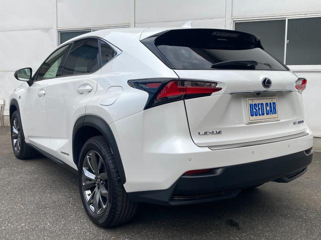 ＮＸ ＮＸ３００ｈ　Ｆスポーツ　ワンオーナー・禁煙車（46枚目）