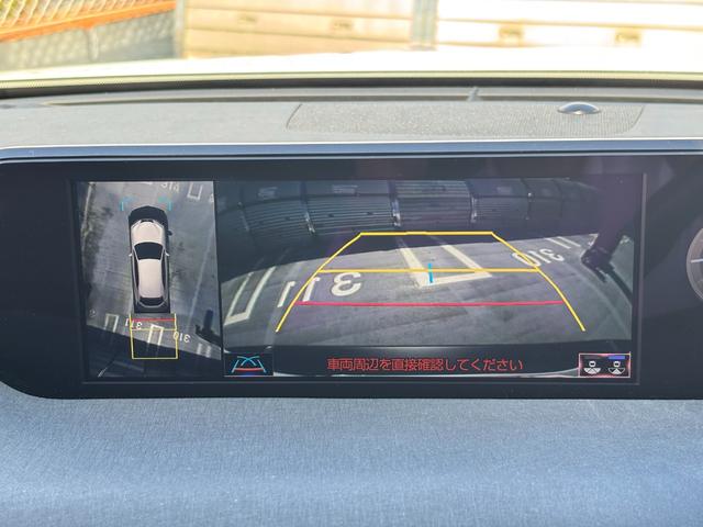 UX UX250h バージョンC ワンオーナー 禁煙車 純正メモリナビ 全周囲カメラ フルセグTV ETC2.0 前後ドラレコ 本革シート メモリーシート シートヒーター ステアリングヒーター レーダークルーズ スマートキー2個(30枚目)