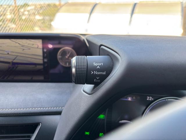 UX UX250h バージョンC ワンオーナー 禁煙車 純正メモリナビ 全周囲カメラ フルセグTV ETC2.0 前後ドラレコ 本革シート メモリーシート シートヒーター ステアリングヒーター レーダークルーズ スマートキー2個(38枚目)