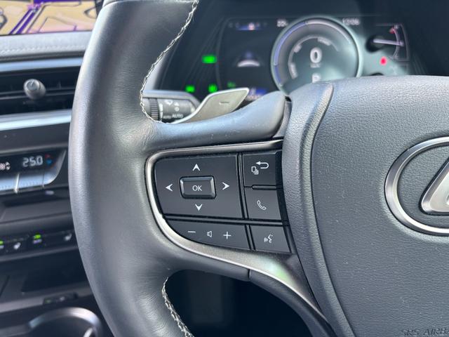 UX UX250h バージョンC ワンオーナー 禁煙車 純正メモリナビ 全周囲カメラ フルセグTV ETC2.0 前後ドラレコ 本革シート メモリーシート シートヒーター ステアリングヒーター レーダークルーズ スマートキー2個(41枚目)