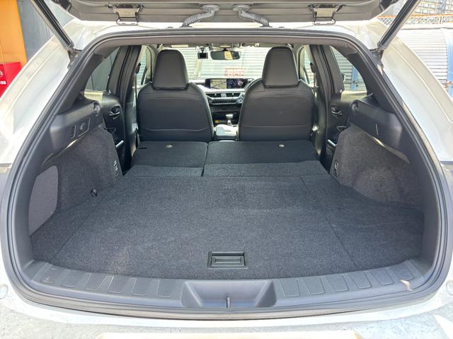 UX UX250h バージョンC ワンオーナー 禁煙車 純正メモリナビ 全周囲カメラ フルセグTV ETC2.0 前後ドラレコ 本革シート メモリーシート シートヒーター ステアリングヒーター レーダークルーズ スマートキー2個(52枚目)