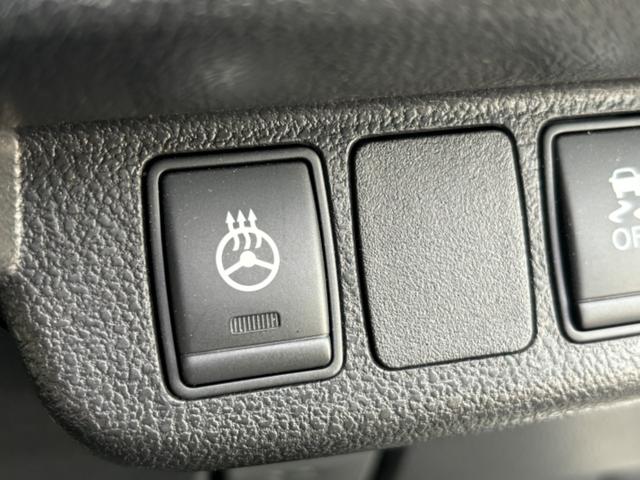 リーフ X サンクスエディション(30kwh) ナビ スマートキー 純正AW PS PW 充電ケーブル有(22枚目)