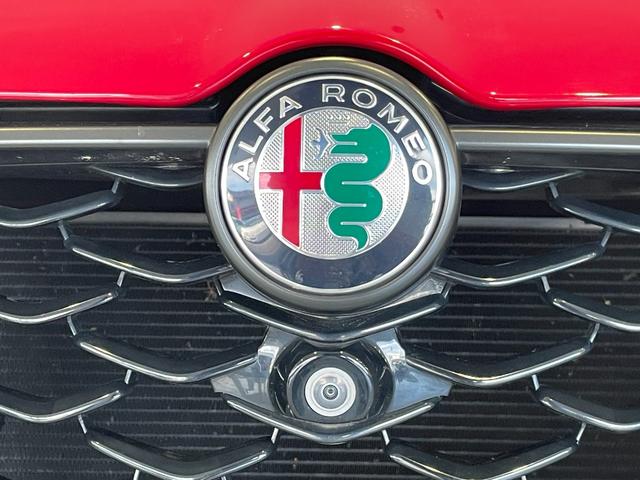 トナーレ エディツィオーネ　スペチアーレ　限定車／ブラックレザー／メモリー付パワーシート／ベンチレーション／純正ナビ／アラウンドビューモニター／ドラレコ前後／ＥＴＣ２．０／マトリクスＬＥＤ／ＡＣＣ／レーンキープ／ハーマンカードン／保証継承（29枚目）