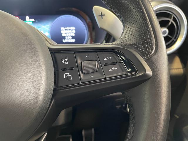 トナーレ エディツィオーネ　スペチアーレ　限定車／ブラックレザー／メモリー付パワーシート／ベンチレーション／純正ナビ／アラウンドビューモニター／ドラレコ前後／ＥＴＣ２．０／マトリクスＬＥＤ／ＡＣＣ／レーンキープ／ハーマンカードン／保証継承（50枚目）