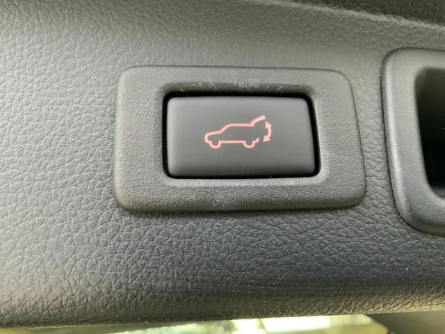 フォレスター ２．０ｉ－Ｌ　アイサイト　アイサイトｖｅｒ．３／アドバンスドセイフティＰＫＧ／パワーバックドア／Ｐシート・スマートキー・Ｐスタート／ＬＥＤヘッド＆フォグ／純正ナビ／フルセグＴＶ／ＤＶＤ／Ｂｌｕｅｔｏｏｔｈ／Ｂカメラ／ＥＴＣ（46枚目）