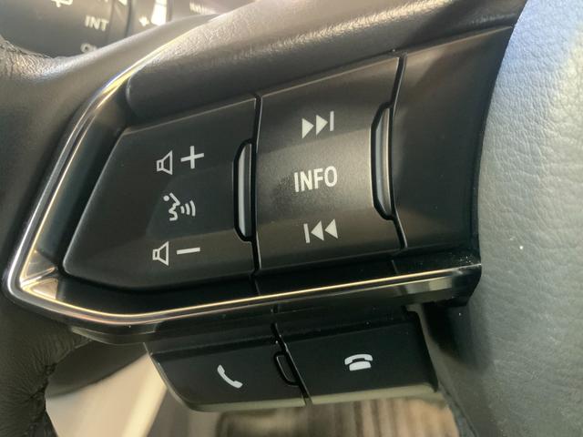 是非一度、実車を御覧ください。