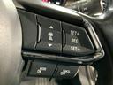 ＸＤ　Ｌパッケージ　４ＷＤ／サンルーフ／３６０度ビュー／前後衝突軽減ブレーキ／ＡＴ誤発進抑制／全車速追従レーダークルコン／ＬＫＡ／車線逸脱警報／ＢＳＭ／ＬＫＡ／茶革シート／Ｐシート／ＢＯＳＥ／マツコネ／ＥＴＣ２．０（24枚目）