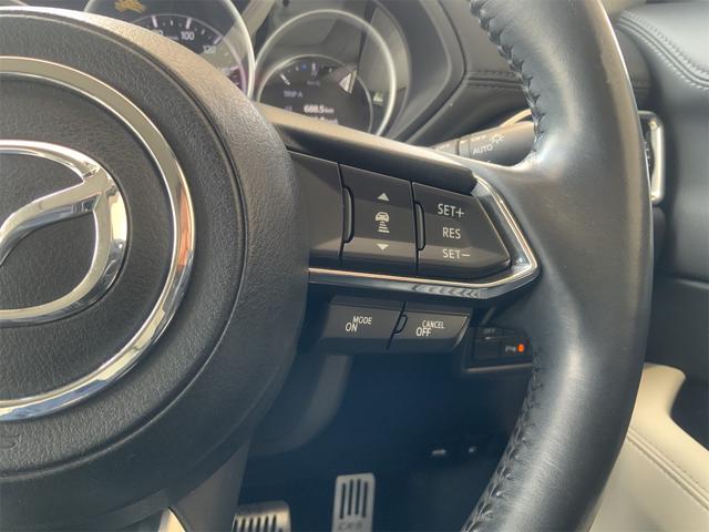 ＣＸ－５ ＸＤ　Ｌパッケージ　ドラレコ　ＢＯＳＥ　全方位カメラ　ステアリングヒーター　白革　全席シートヒーター　パワーシート　パワーバックドア　ＥＴＣ　ＬＥＤヘッド　衝突軽減　ＬＫＡ　ＢＳＭ　Ｂｌｕｅｔｏｏｔｈ　フルセグ地デジ（34枚目）