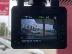 ϥꥢ ץߥࡡɥХ󥹥ɥѥå⡼롼աɥ쥳 0561155A30250925W002 6