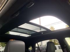 ϥꥢ ץߥࡡɥХ󥹥ɥѥå⡼롼աɥ쥳 0561155A30250925W002 5