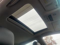 �ǣ� �ǣӣ��������С������ɡ��졼�������롼��������롼�ա�����ɥ�쥳 0561155A30251016W004 4