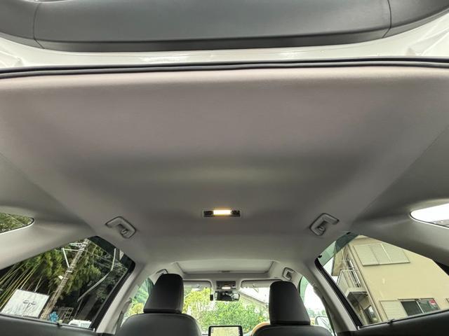 RX RX450h バージョンL ムーンルーフ セーフティシステムプラス パーキングサポートブレーキ ブラインドスポットモニター 革シート 前席パワーシート シートヒーター前後 三眼LEDヘッドライト LEDシーケンシャルターンランプ(20枚目)