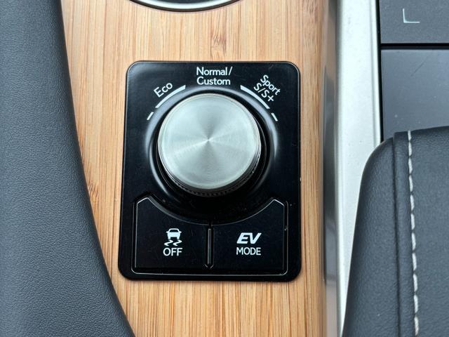 RX RX450h バージョンL ムーンルーフ セーフティシステムプラス パーキングサポートブレーキ ブラインドスポットモニター 革シート 前席パワーシート シートヒーター前後 三眼LEDヘッドライト LEDシーケンシャルターンランプ(38枚目)