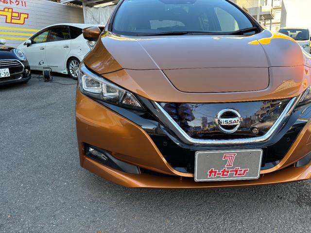 リーフ Ｇ　純正ＳＤナビ　アラウンドビューモニター　フルセグＴＶ　ＥＴＣ　シートヒーター　ハンドルヒーター　エマージェンシーブレーキ　踏み間違い衝突防止　クルコン　プロパイロット　プロパイロットパーキング（47枚目）