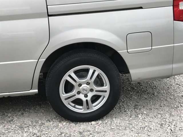キタキツネ(8枚目)